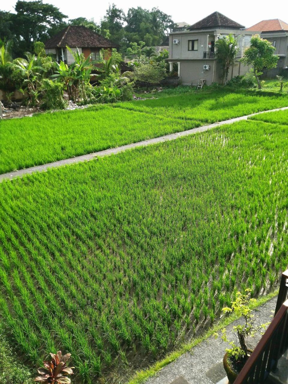 Villa Peteka Ubud  Exterior photo